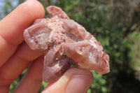 Natural Red Hematoid Quartz Specimens x 35 From Karoi, Zimbabwe