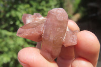 Natural Red Hematoid Quartz Specimens x 35 From Karoi, Zimbabwe