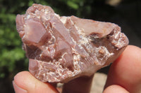 Natural Red Hematoid Quartz Specimens x 35 From Karoi, Zimbabwe