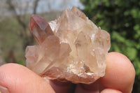 Natural Red Hematoid Quartz Specimens x 35 From Karoi, Zimbabwe