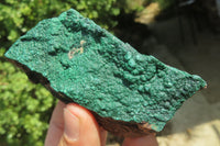 Natural Crystalline Malachite Specimens x 6 From Congo