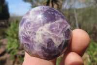 Polished Lepidolite with Pink Rubellite Palm Stones x 20 From Madagascar