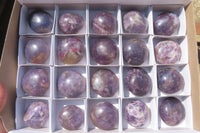 Polished Lepidolite with Pink Rubellite Palm Stones x 20 From Madagascar