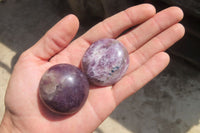 Polished Lepidolite with Pink Rubellite Palm Stones x 20 From Madagascar