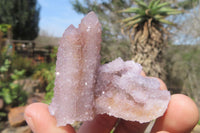 Natural Ametrine Spirit Quartz Clusters x 12 From Boekenhouthoek, South Africa