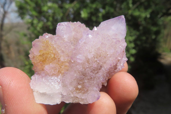 Natural Ametrine Spirit Quartz Clusters x 12 From Boekenhouthoek, South Africa