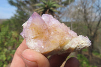 Natural Ametrine Spirit Quartz Clusters x 12 From Boekenhouthoek, South Africa