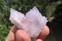 Natural Ametrine Spirit Quartz Clusters x 12 From Boekenhouthoek, South Africa