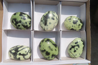 Polished Leopard Stone Palm Stones x 6 From Zimbabwe