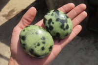 Polished Leopard Stone Palm Stones x 6 From Zimbabwe