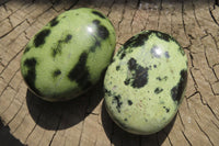 Polished Leopard Stone Palm Stones x 6 From Zimbabwe