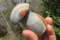 Polished Polychrome Jasper Mushrooms x 5 From Madagascar