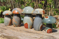 Polished Polychrome Jasper Mushrooms x 5 From Madagascar