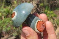 Polished Polychrome Jasper Mushrooms x 5 From Madagascar