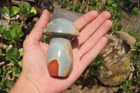 Polished Polychrome Jasper Mushrooms x 5 From Madagascar