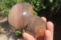 Polished Polychrome Jasper Mushrooms x 5 From Madagascar