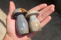 Polished Polychrome Jasper Mushrooms x 5 From Madagascar