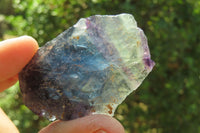 Natural Watermelon Fluorite Cobbed Specimens x 35 From Uis, Namibia