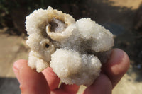 Natural Drusy Quartz Coated Calcite Pseudomorph Specimens x 12 From Lesotho