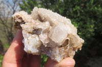 Natural Drusy Quartz Coated Calcite Pseudomorph Specimens x 12 From Lesotho