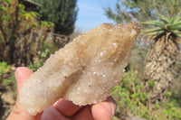 Natural Drusy Quartz Coated Calcite Pseudomorph Specimens x 12 From Lesotho