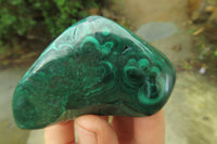 Polished Flower Banded Malachite Free Forms x 6 From Congo