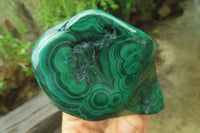 Polished Flower Banded Malachite Free Forms x 6 From Congo