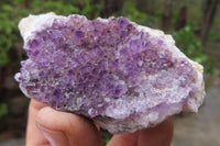 Natural Amethystos Amethyst Plates x 6 From Kwaggafontein, South Africa