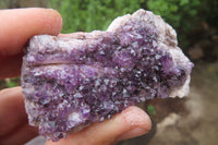 Natural Amethystos Amethyst Plates x 6 From Kwaggafontein, South Africa