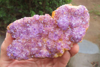 Natural Amethystos Amethyst Plates x 6 From Kwaggafontein, South Africa