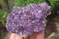 Natural Amethystos Amethyst Plates x 6 From Kwaggafontein, South Africa