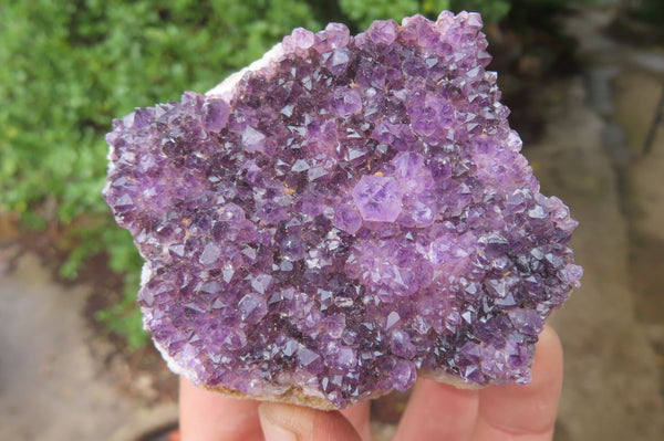 Natural Amethystos Amethyst Plates x 6 From Kwaggafontein, South Africa