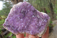 Natural Amethystos Amethyst Plates x 6 From Kwaggafontein, South Africa