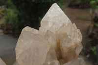 Natural Cascading Smokey Quartz Clusters x 2 From Luena, Congo