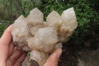 Natural Cascading Smokey Quartz Clusters x 2 From Luena, Congo