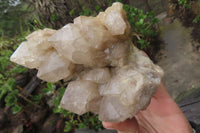 Natural Cascading Smokey Quartz Clusters x 2 From Luena, Congo