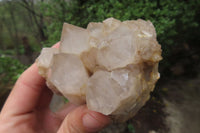 Natural Cascading Smokey Quartz Clusters x 2 From Luena, Congo