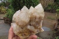 Natural Cascading Smokey Quartz Clusters x 2 From Luena, Congo