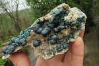 Natural Ball Malachite On Quartz Matrix Specimen x 1 From Congo