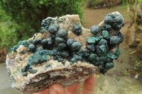 Natural Ball Malachite On Quartz Matrix Specimen x 1 From Congo