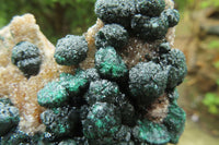 Natural Ball Malachite On Quartz Matrix Specimen x 1 From Congo