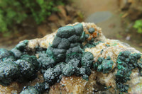 Natural Ball Malachite On Quartz Matrix Specimen x 1 From Congo