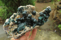 Natural Ball Malachite On Quartz Matrix Specimen x 1 From Congo