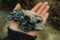 Natural Ball Malachite On Quartz Matrix Specimen x 1 From Congo