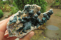 Natural Ball Malachite On Quartz Matrix Specimen x 1 From Congo