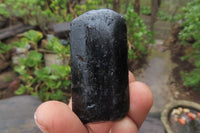 Natural Alluvial Schorl Black Tourmaline Crystals x 12 From Zimbabwe