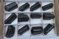 Natural Alluvial Schorl Black Tourmaline Crystals x 12 From Zimbabwe