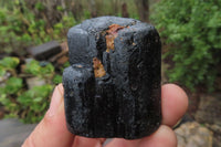 Natural Alluvial Schorl Black Tourmaline Crystals x 12 From Zimbabwe