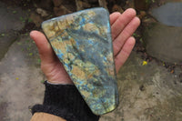 Polished Labradorite Standing Free Forms x 2 From Tulear, Madagascar