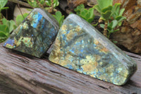 Polished Labradorite Standing Free Forms x 2 From Tulear, Madagascar